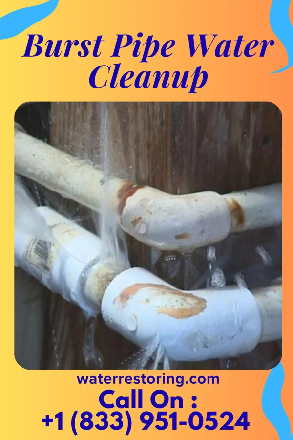 Burst Pipe Water Cleanup in Gridley, IL