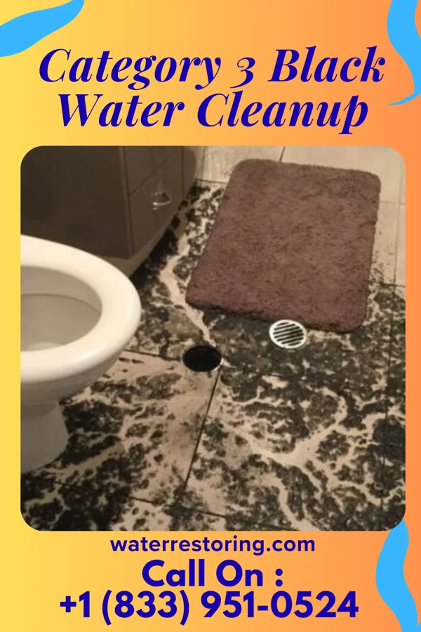 Category 3 Black Water Cleanup in Gridley, IL